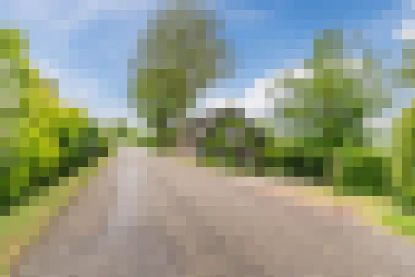 Waaldijk 38 Herwijnen thumbnail 52