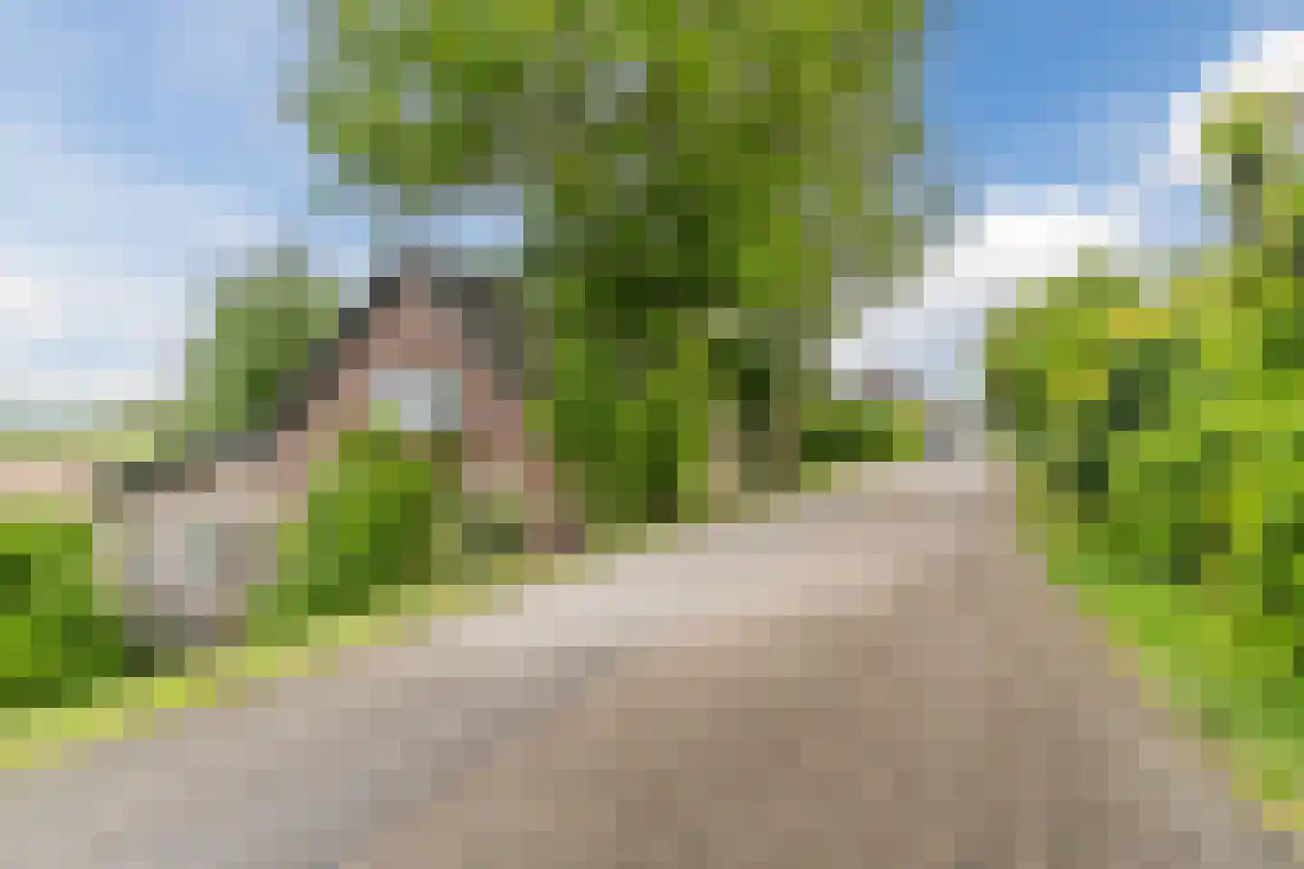 Waaldijk 38 Herwijnen thumbnail 53