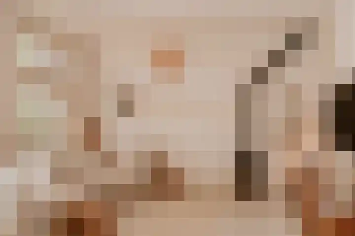 Waaldijk 39 Hurwenen thumbnail 5