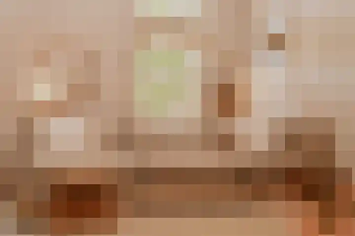 Waaldijk 39 Hurwenen thumbnail 7