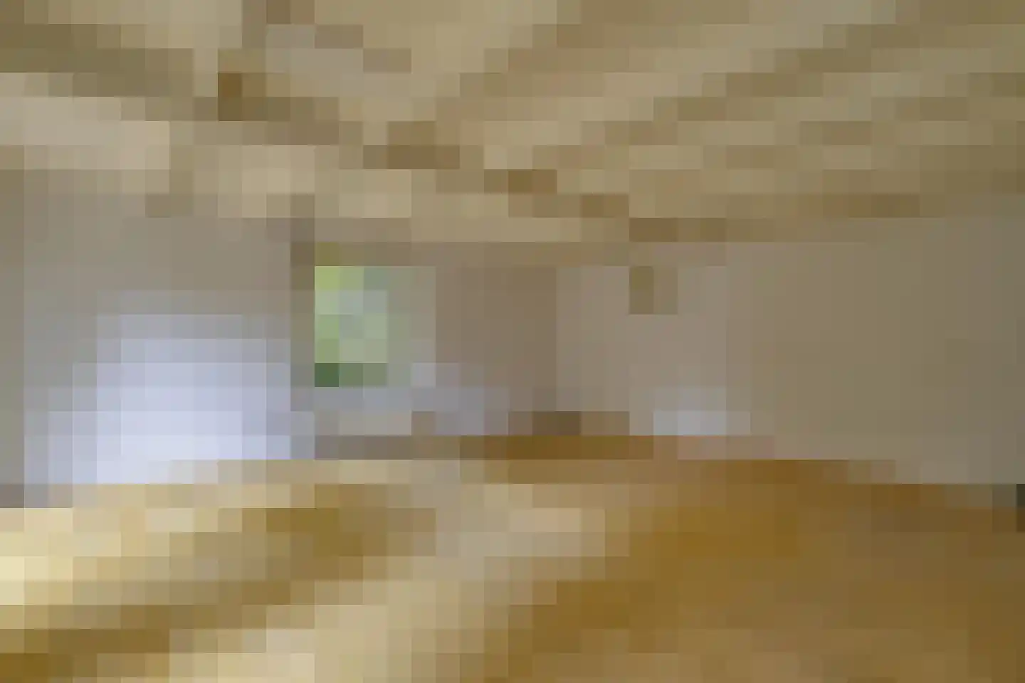 Waaldijk 41 Brakel thumbnail 11