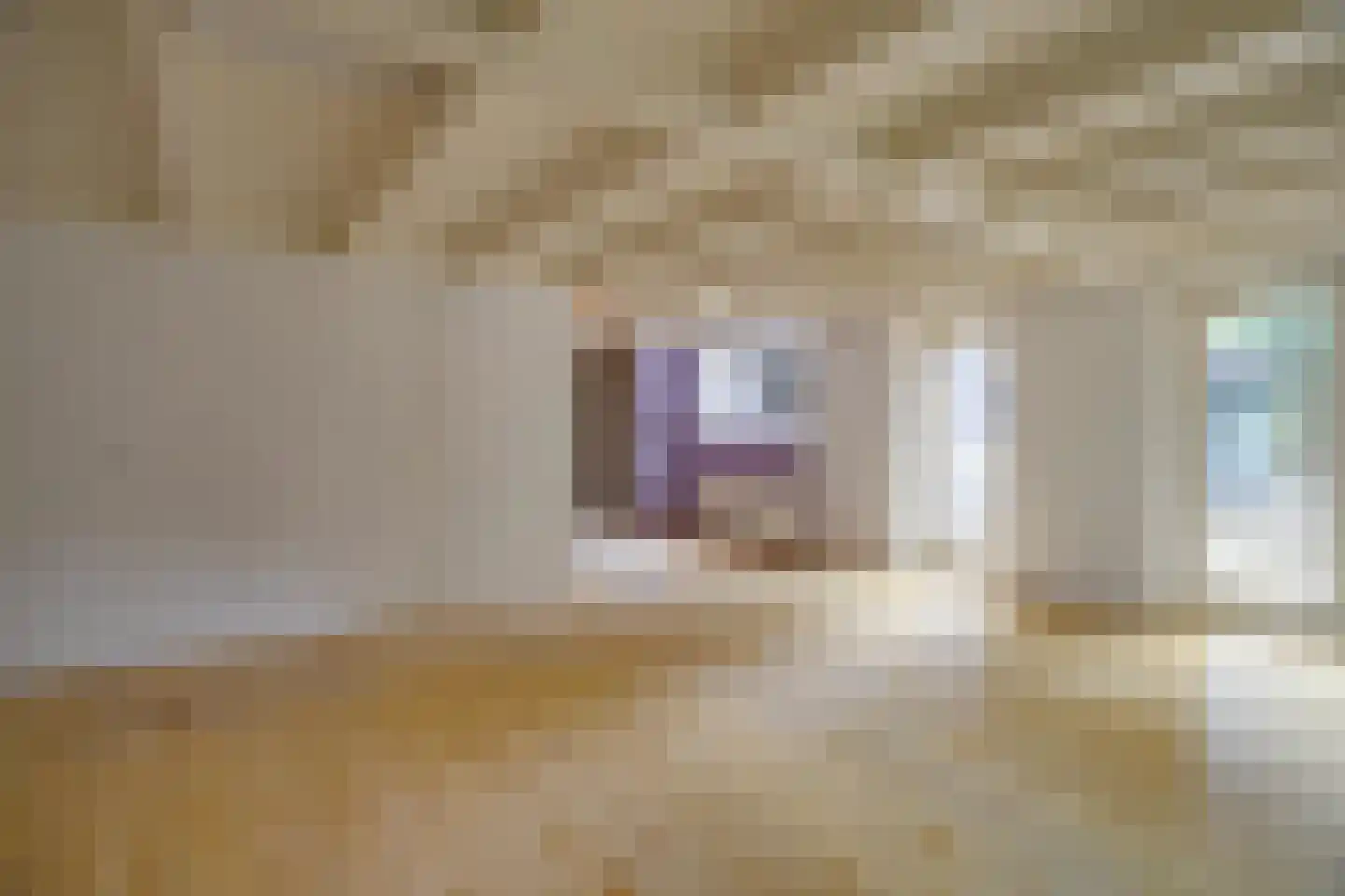 Waaldijk 41 Brakel thumbnail 13