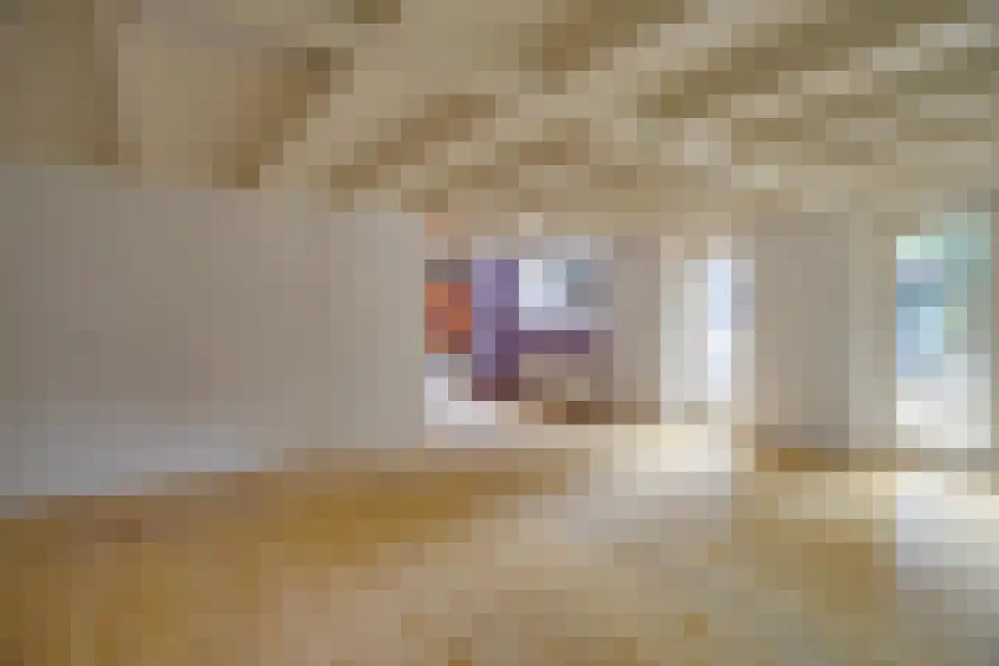 Waaldijk 41 Brakel thumbnail 14