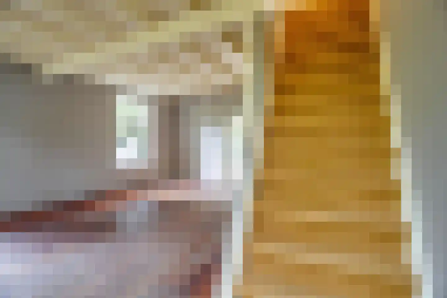 Waaldijk 41 Brakel thumbnail 26