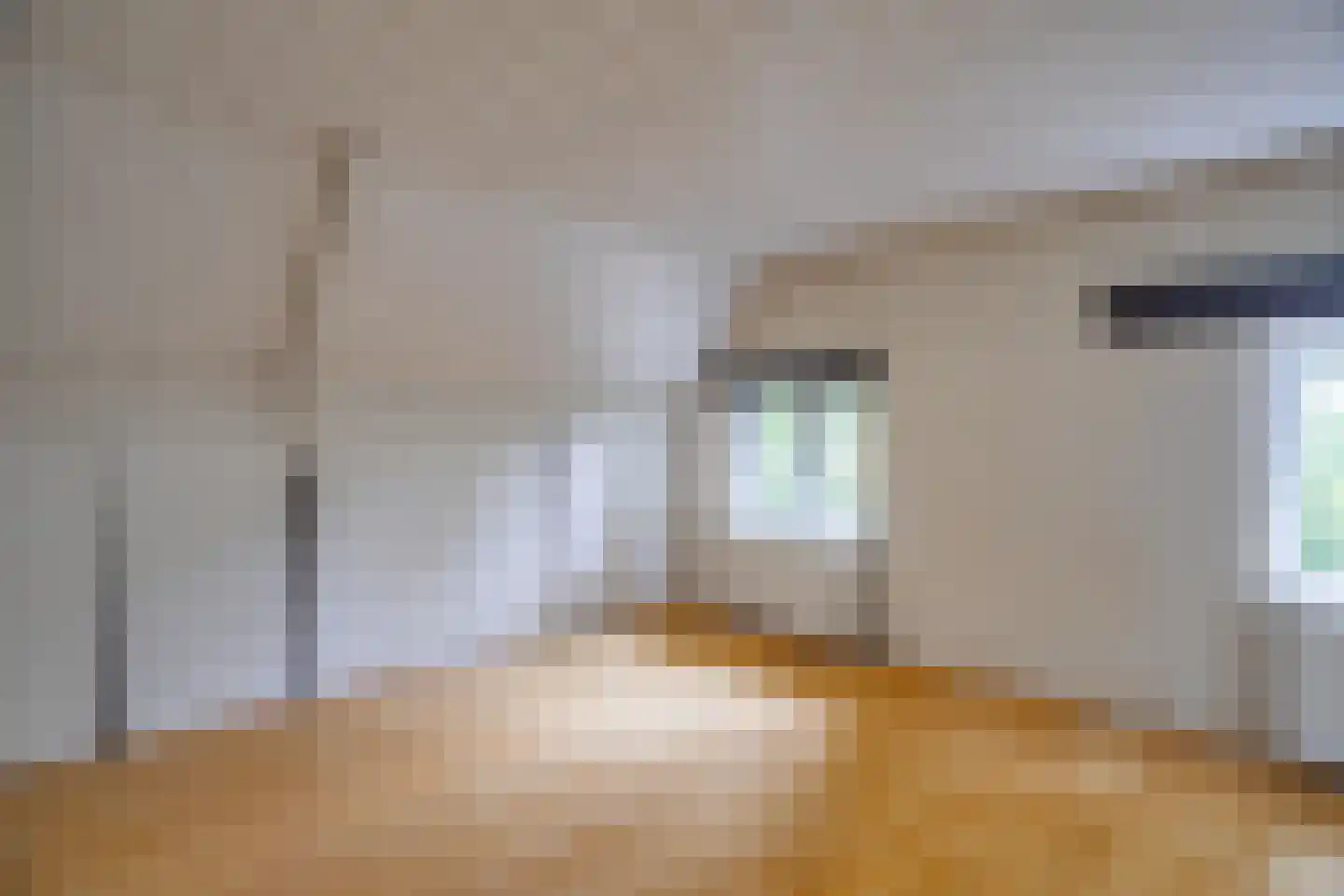 Waaldijk 41 Brakel thumbnail 30