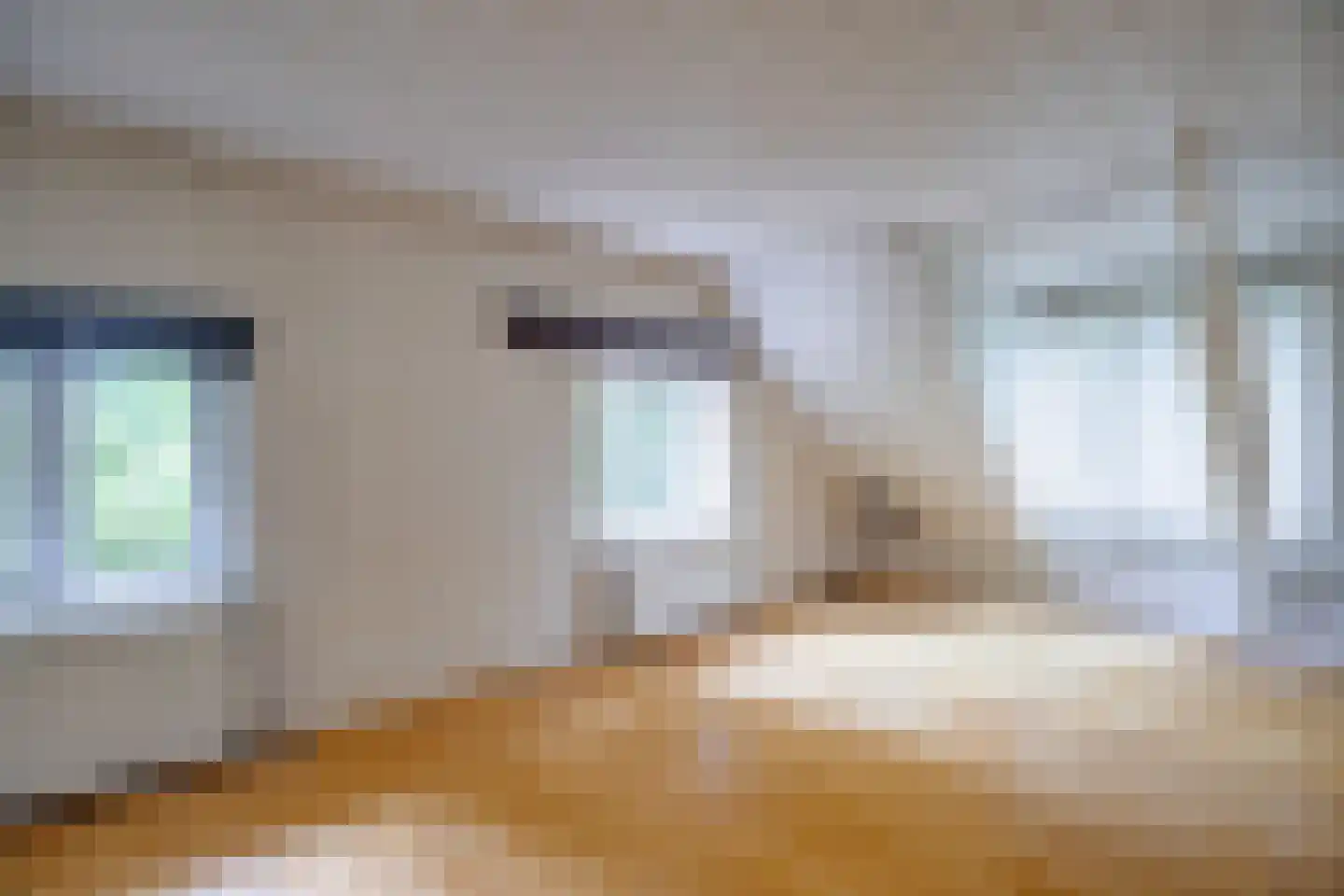 Waaldijk 41 Brakel thumbnail 31