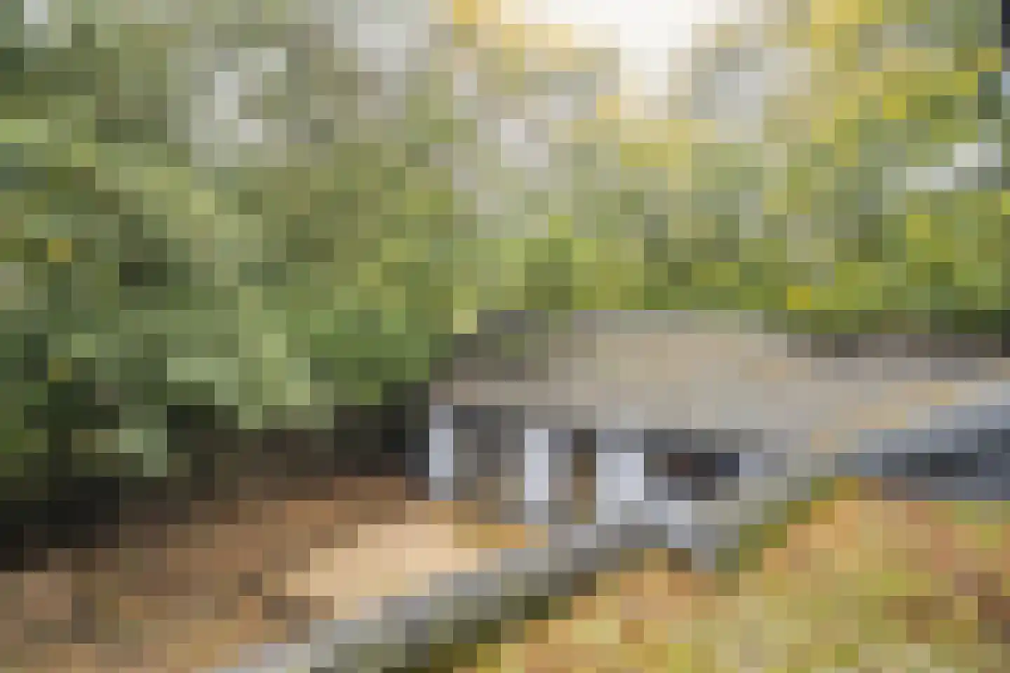 Waaldijk 41 Brakel thumbnail 32