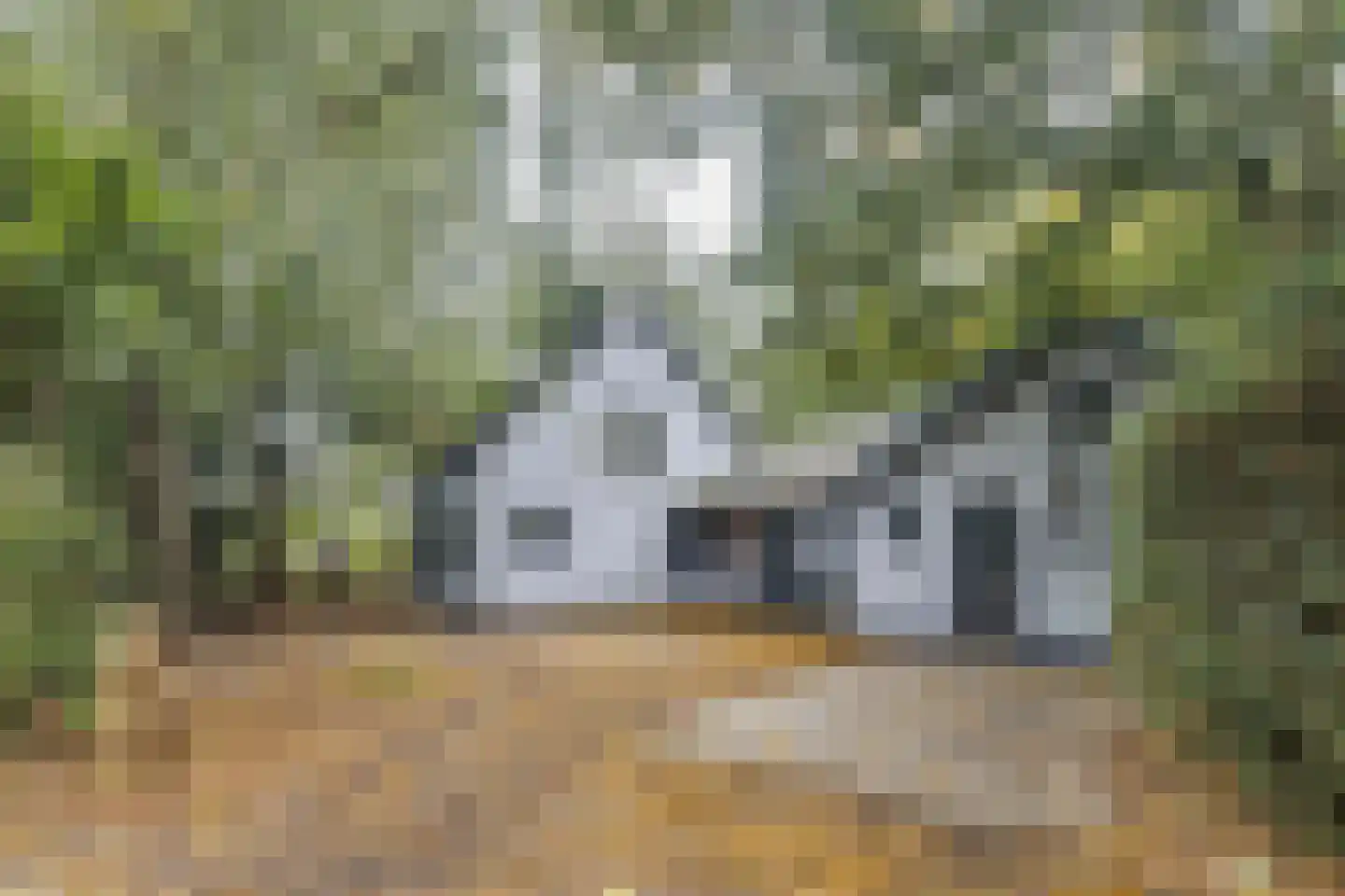 Waaldijk 41 Brakel thumbnail 33