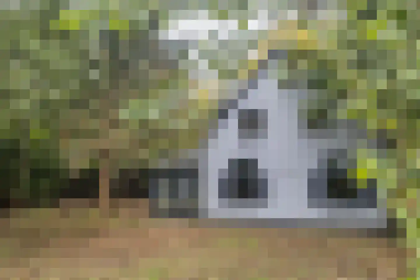 Waaldijk 41 Brakel thumbnail 34