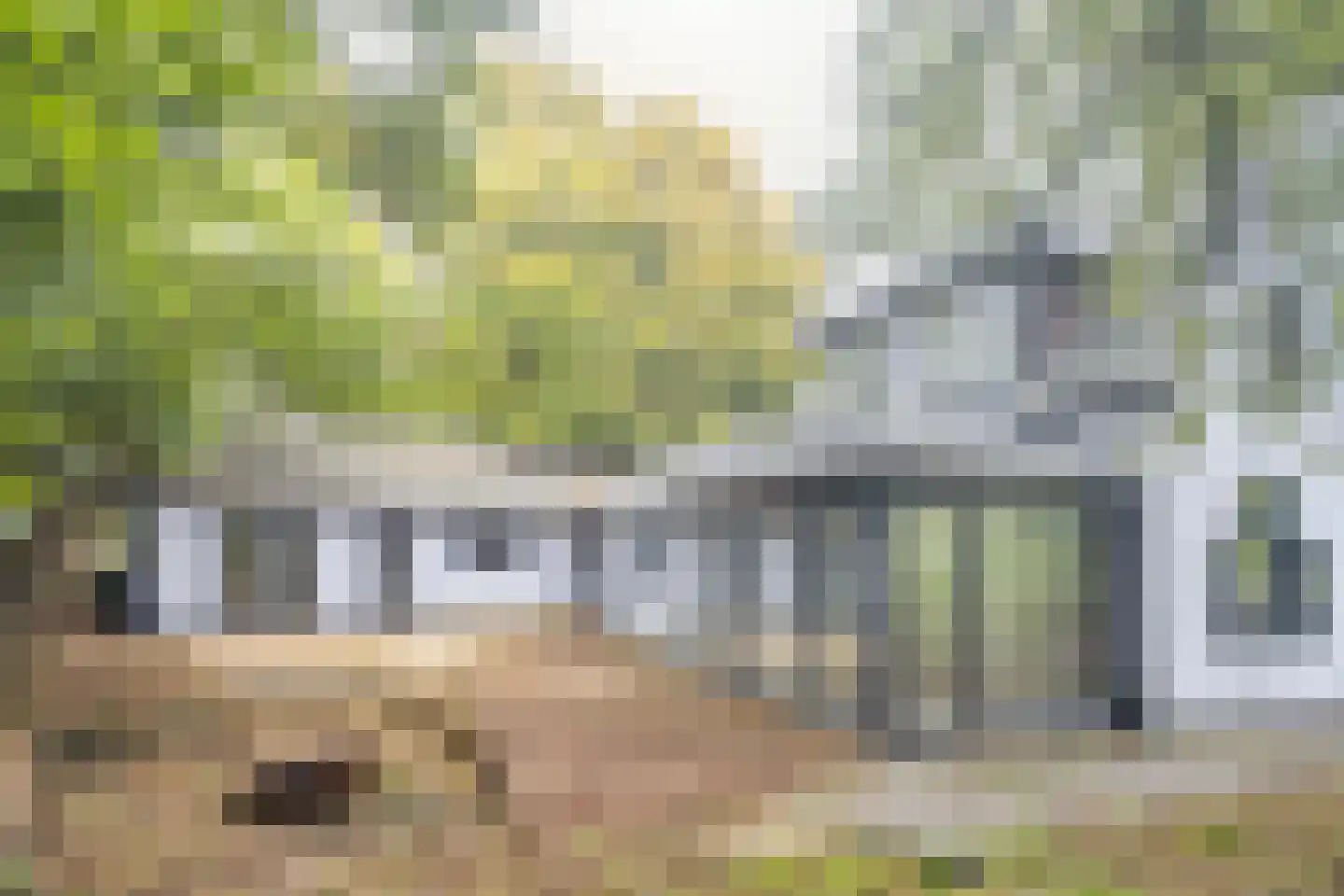 Waaldijk 41 Brakel thumbnail 35