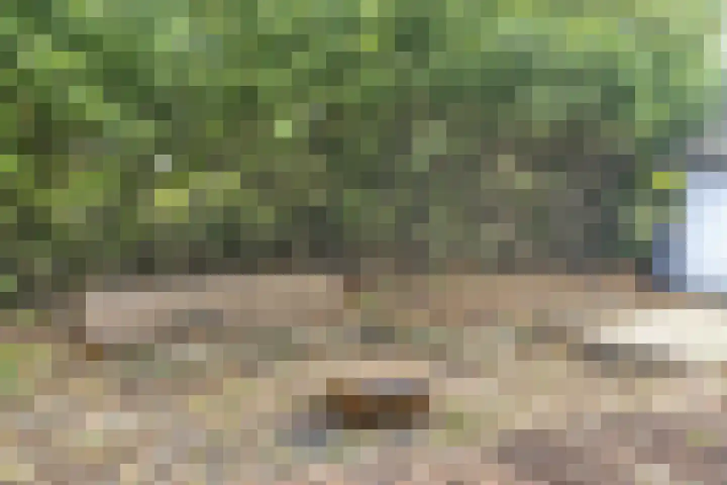Waaldijk 41 Brakel thumbnail 37