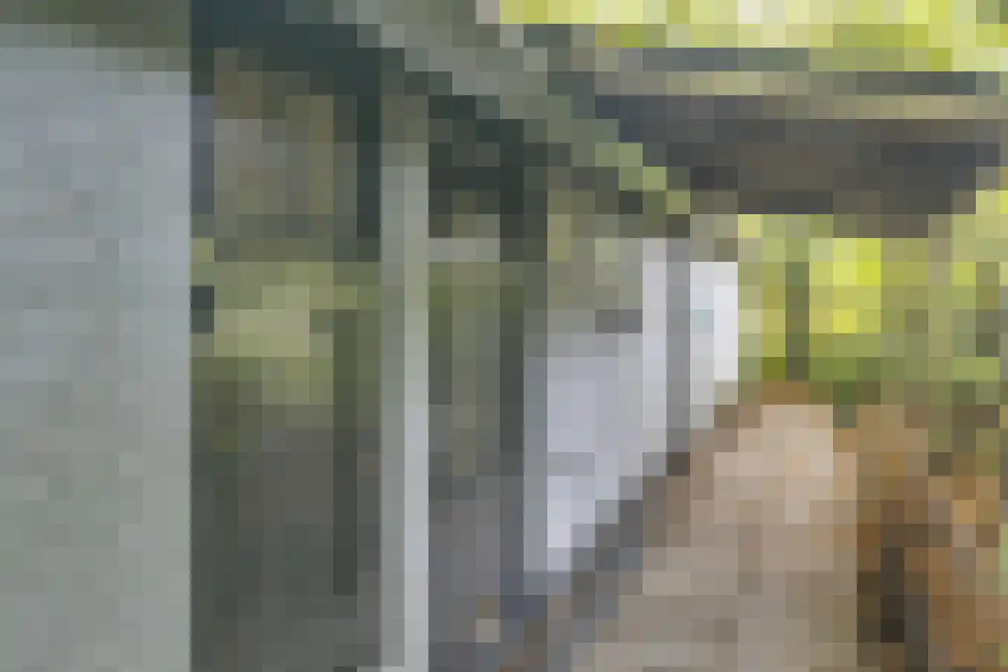 Waaldijk 41 Brakel thumbnail 39
