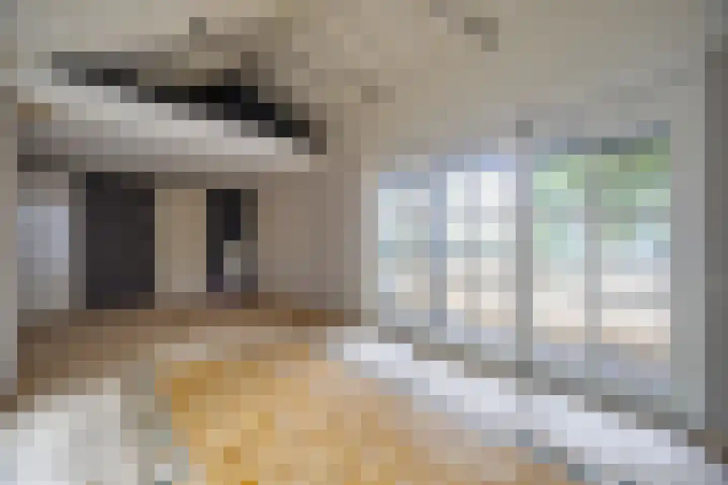 Waaldijk 41 Brakel thumbnail 4