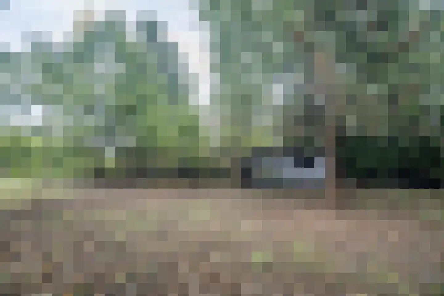 Waaldijk 41 Brakel thumbnail 41