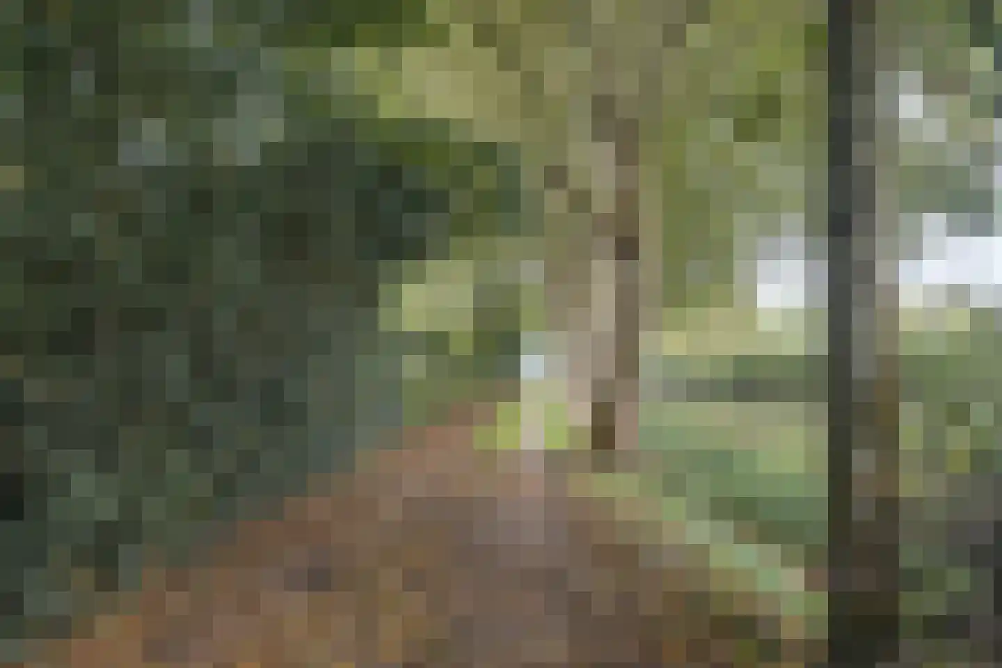 Waaldijk 41 Brakel thumbnail 42