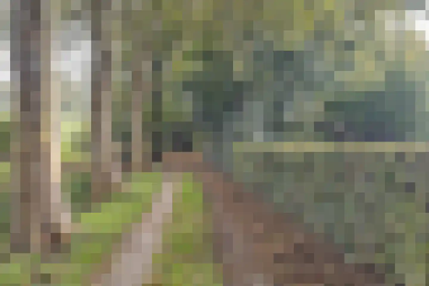Waaldijk 41 Brakel thumbnail 43