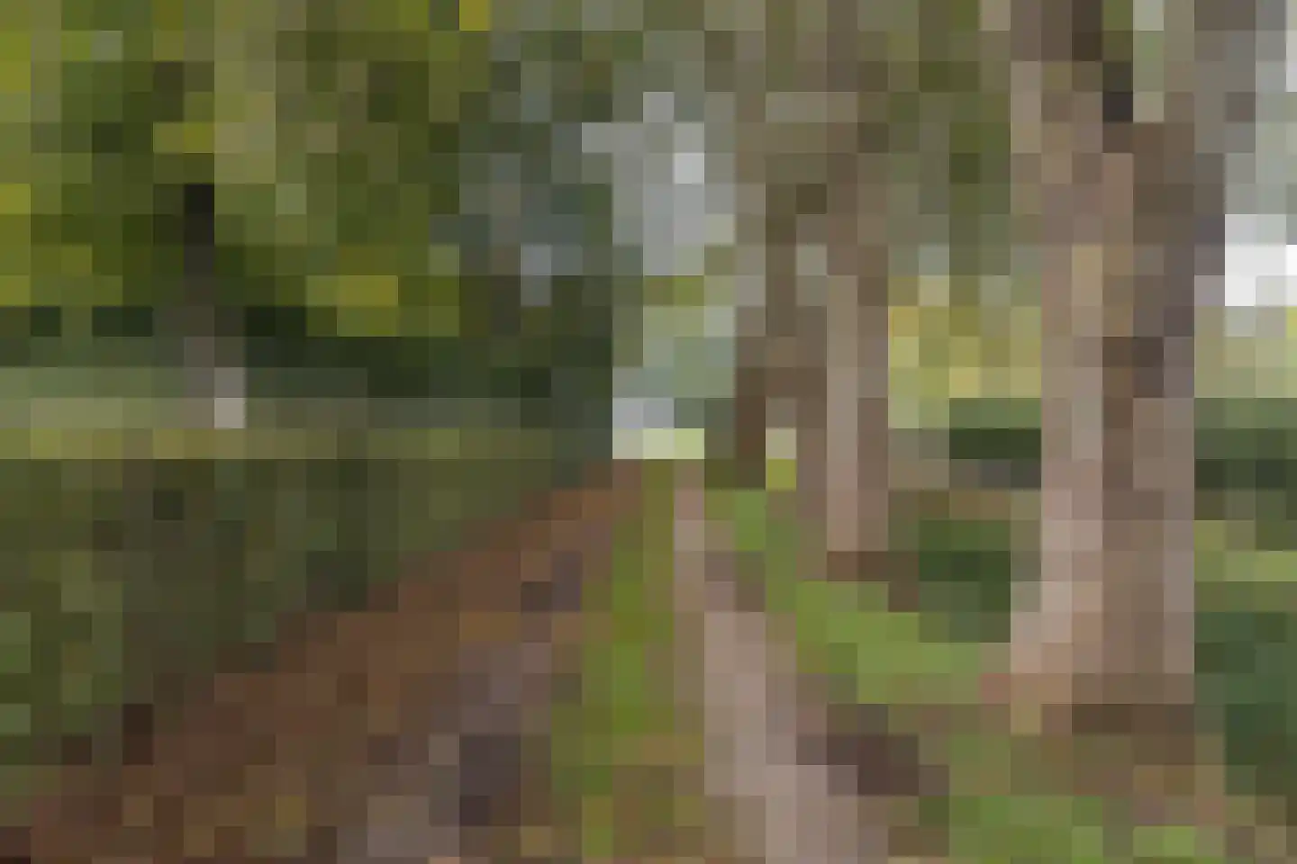 Waaldijk 41 Brakel thumbnail 44