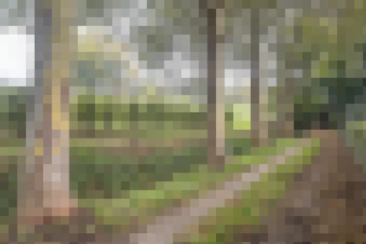 Waaldijk 41 Brakel thumbnail 46