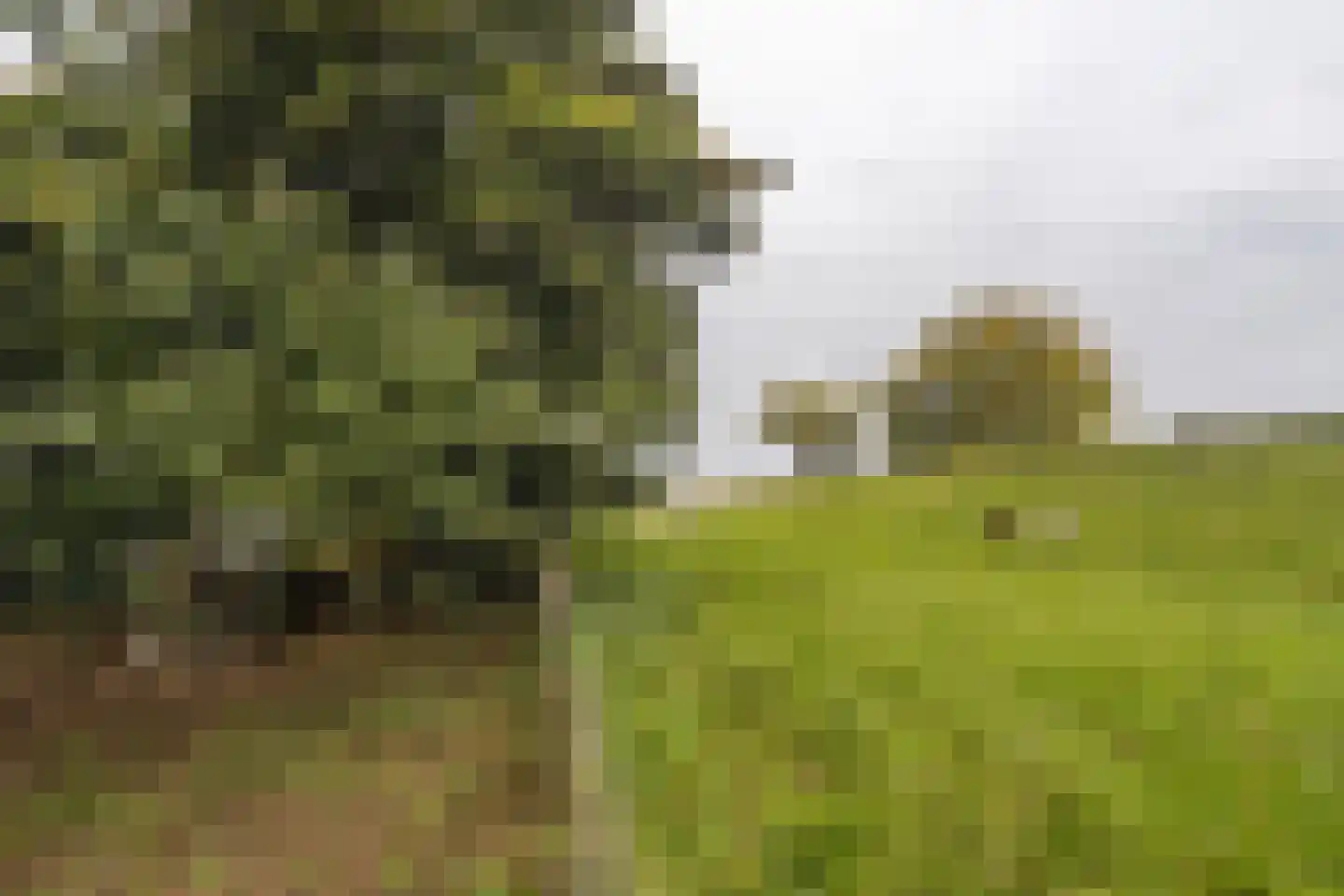 Waaldijk 41 Brakel thumbnail 47