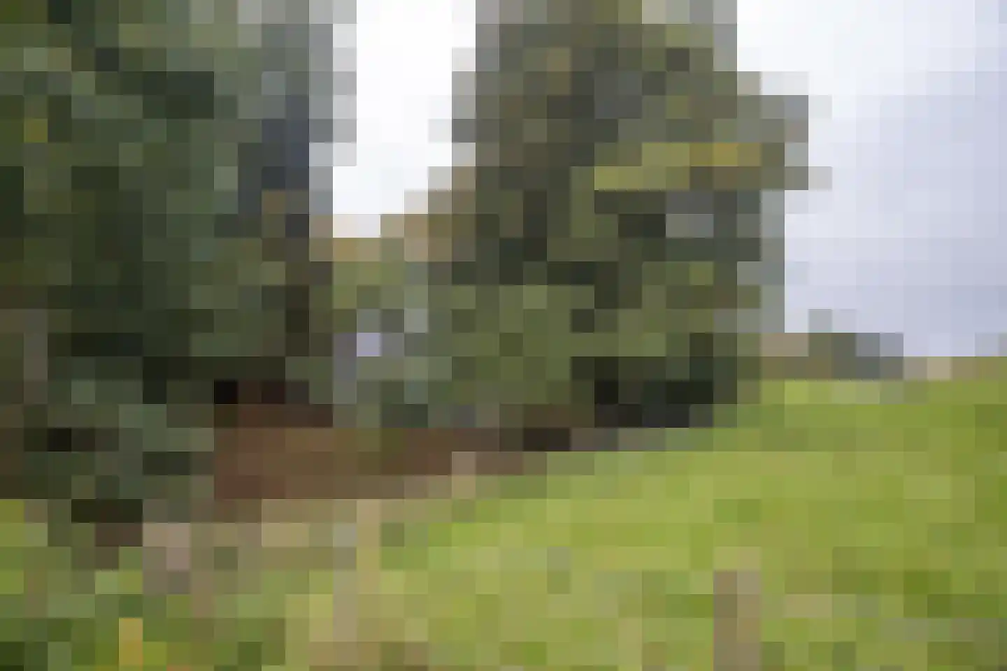 Waaldijk 41 Brakel thumbnail 48