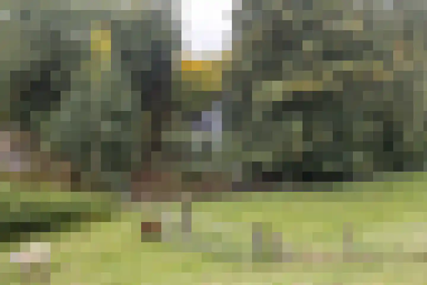Waaldijk 41 Brakel thumbnail 49