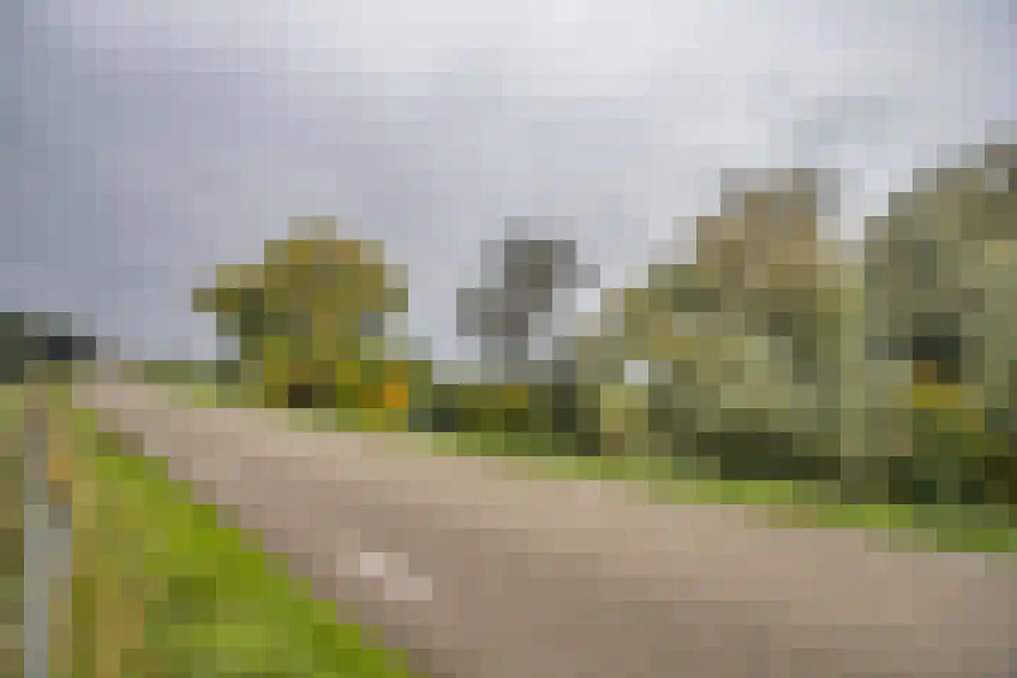 Waaldijk 41 Brakel thumbnail 50