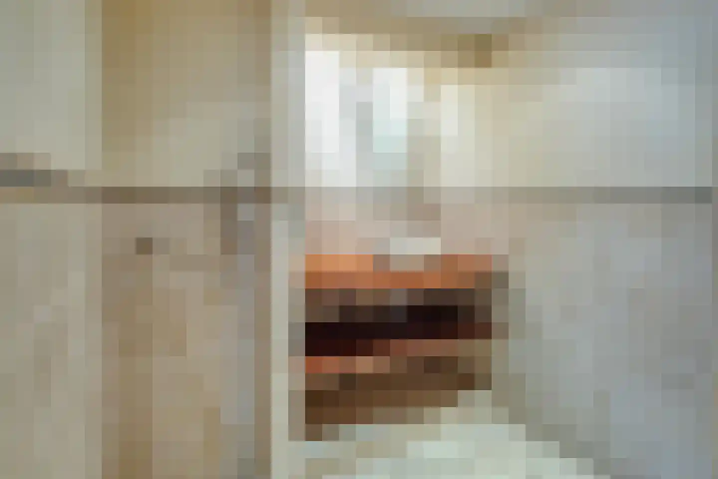 Waaldijk 41 Brakel thumbnail 6