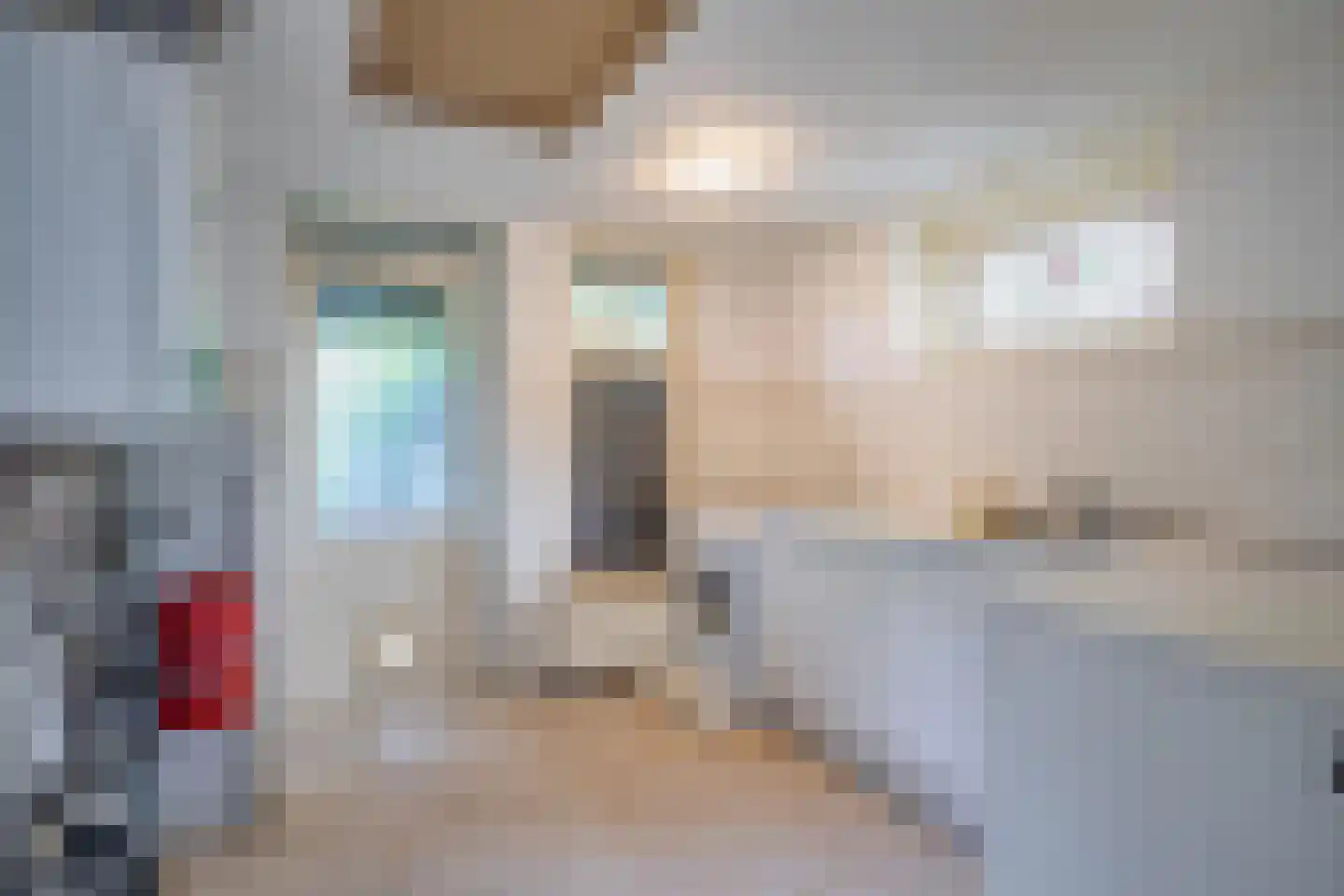 Waaldijk 41 Brakel thumbnail 9