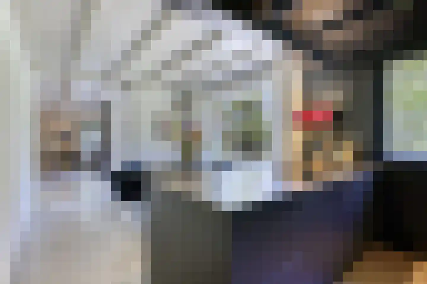Waaldijk 46 Dreumel thumbnail 10