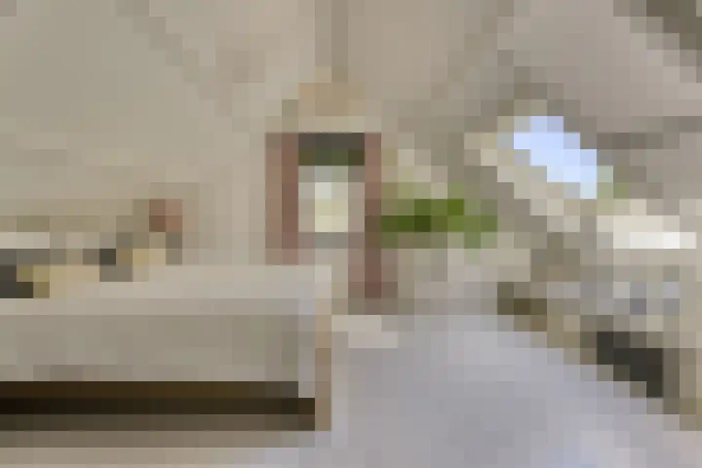 Waaldijk 46 Dreumel thumbnail 19