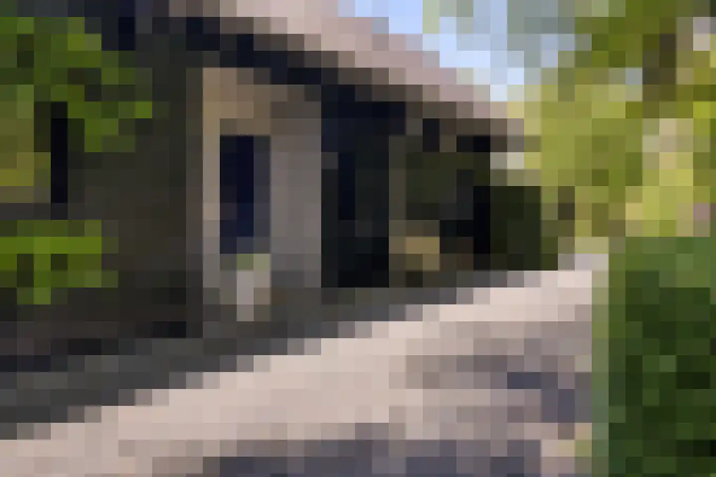 Waaldijk 46 Dreumel thumbnail 26