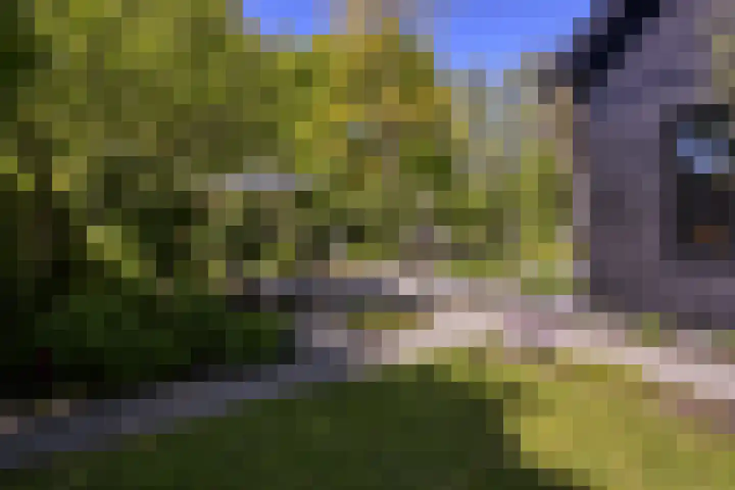 Waaldijk 46 Dreumel thumbnail 29