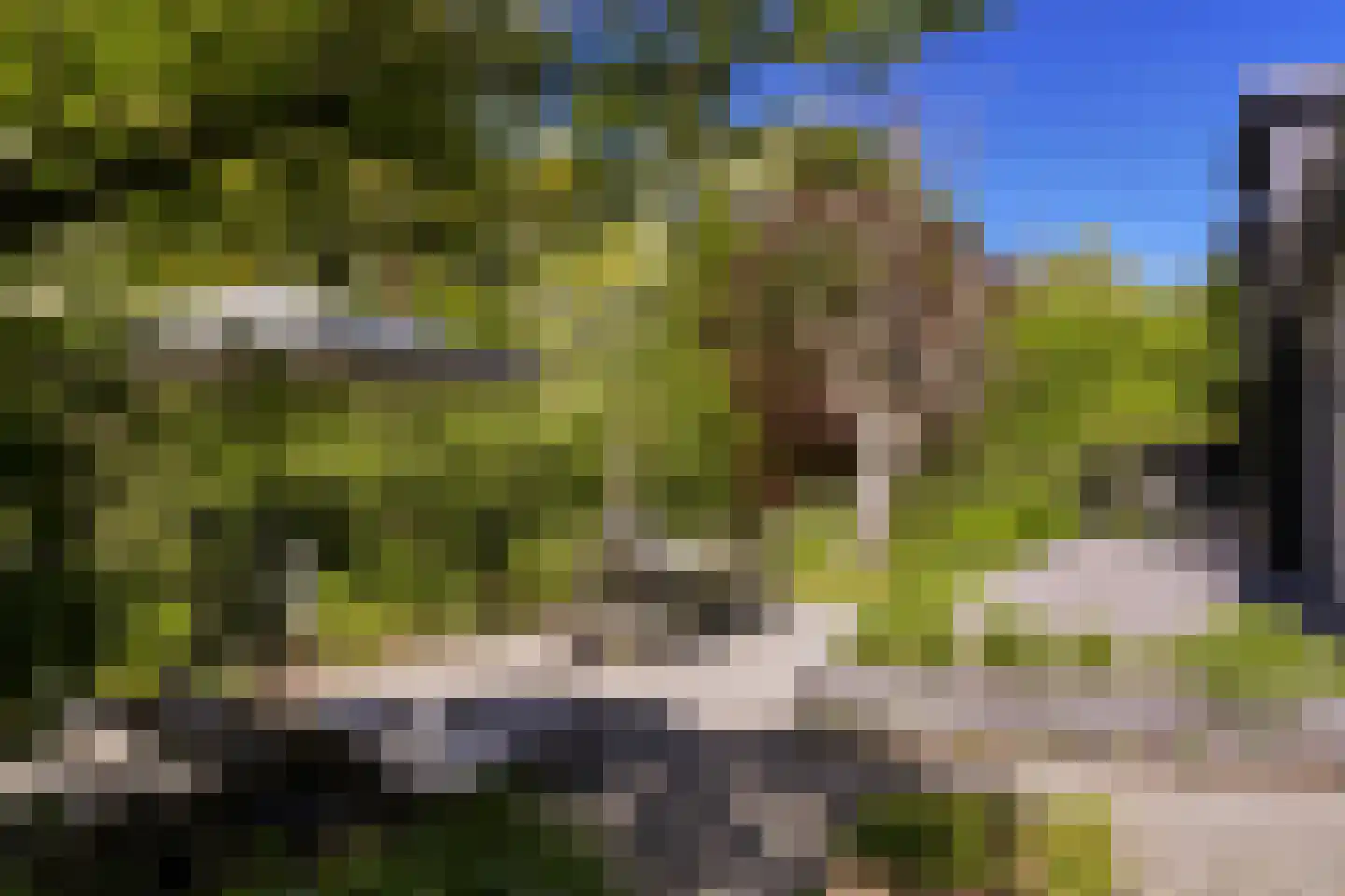 Waaldijk 46 Dreumel thumbnail 30