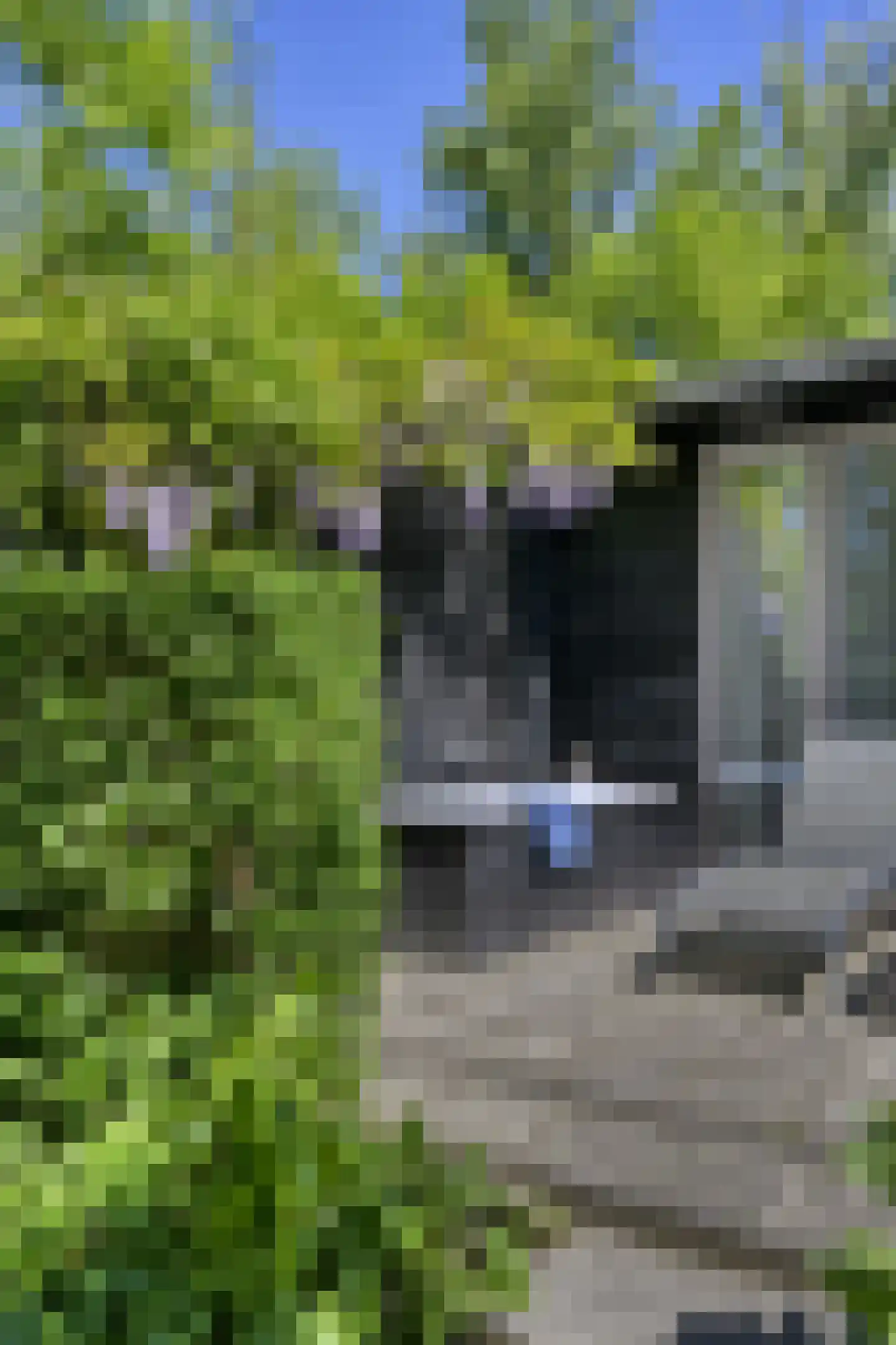 Waaldijk 46 Dreumel thumbnail 33