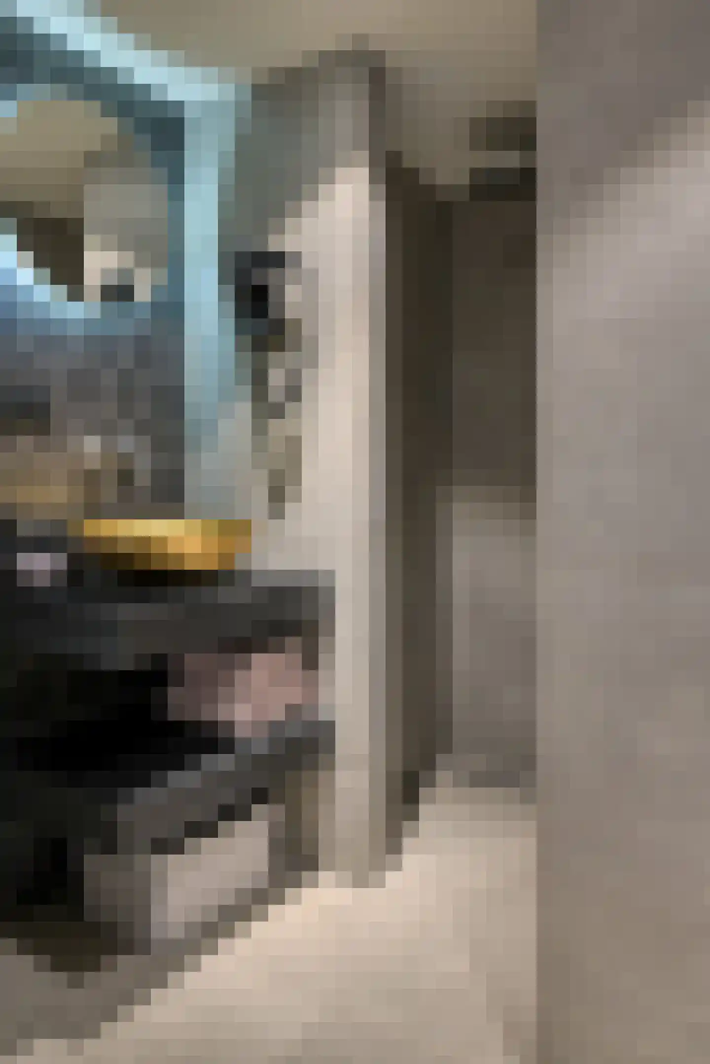 Waaldijk 46 Dreumel thumbnail 38