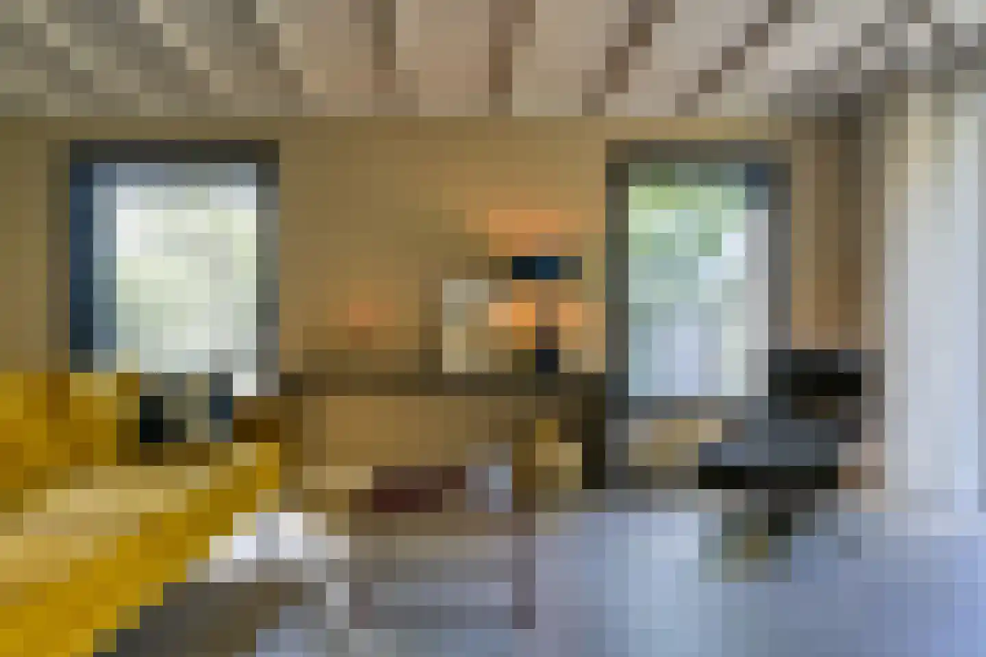 Waaldijk 46 Dreumel thumbnail 4