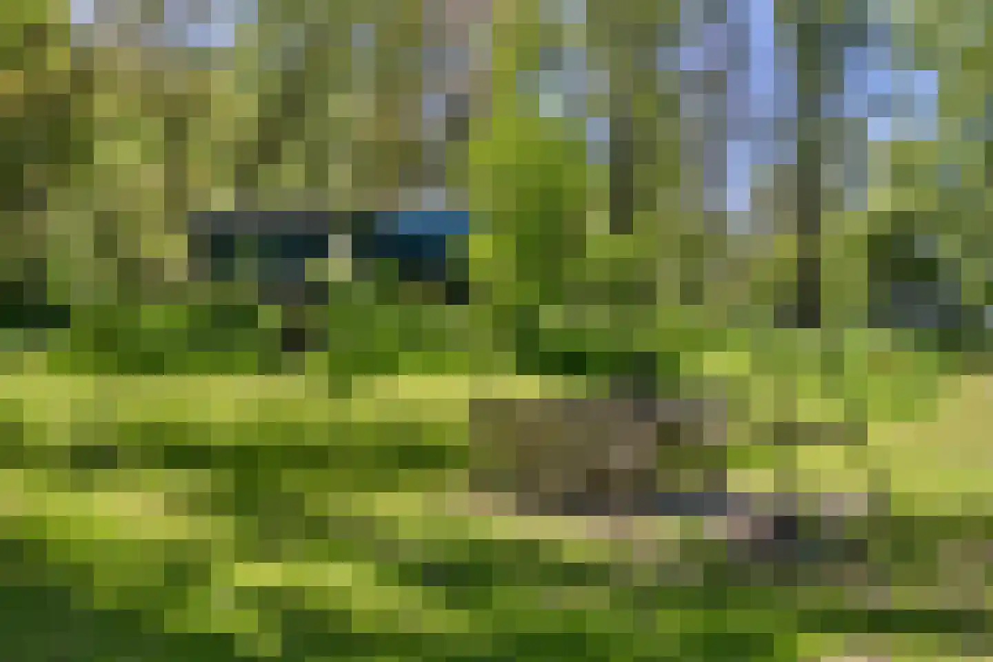 Waaldijk 46 Dreumel thumbnail 43