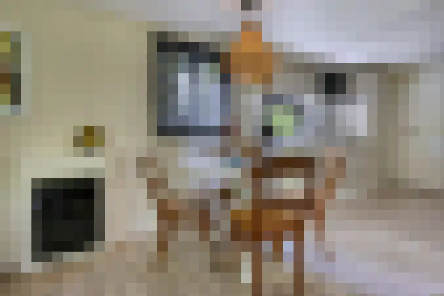 Waaldijk 46 Dreumel thumbnail 45