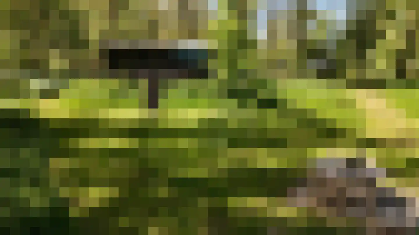 Waaldijk 46 Dreumel thumbnail 47