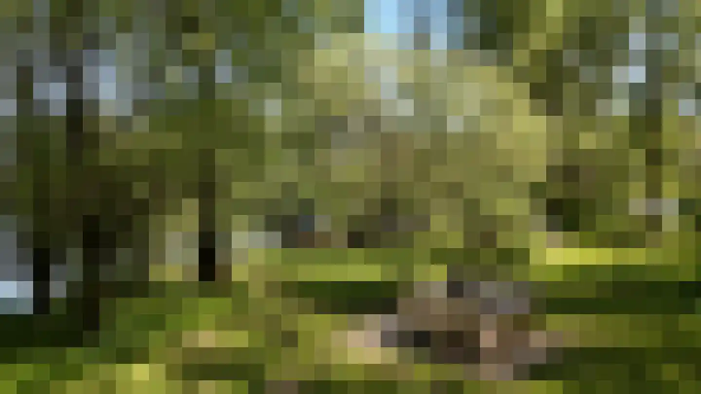 Waaldijk 46 Dreumel thumbnail 48
