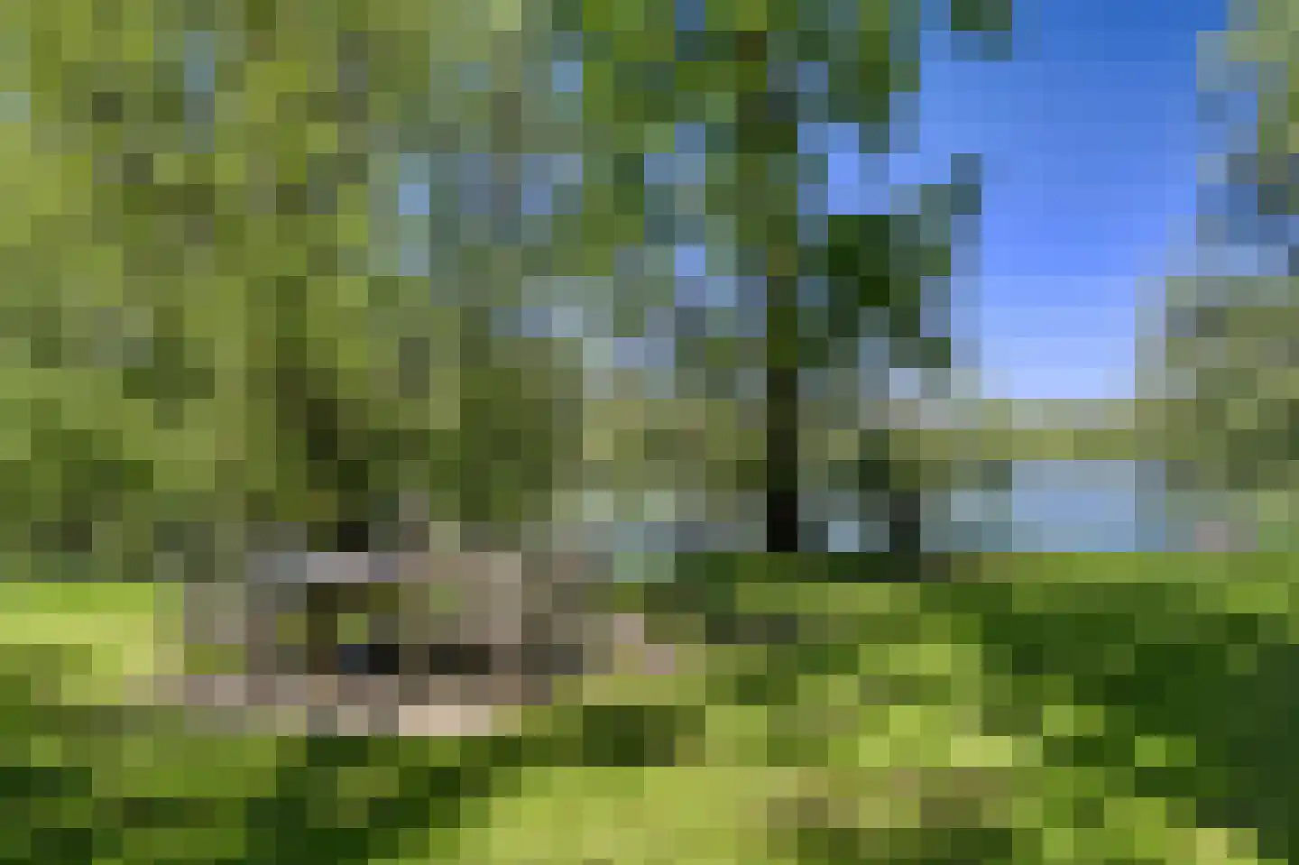 Waaldijk 46 Dreumel thumbnail 49