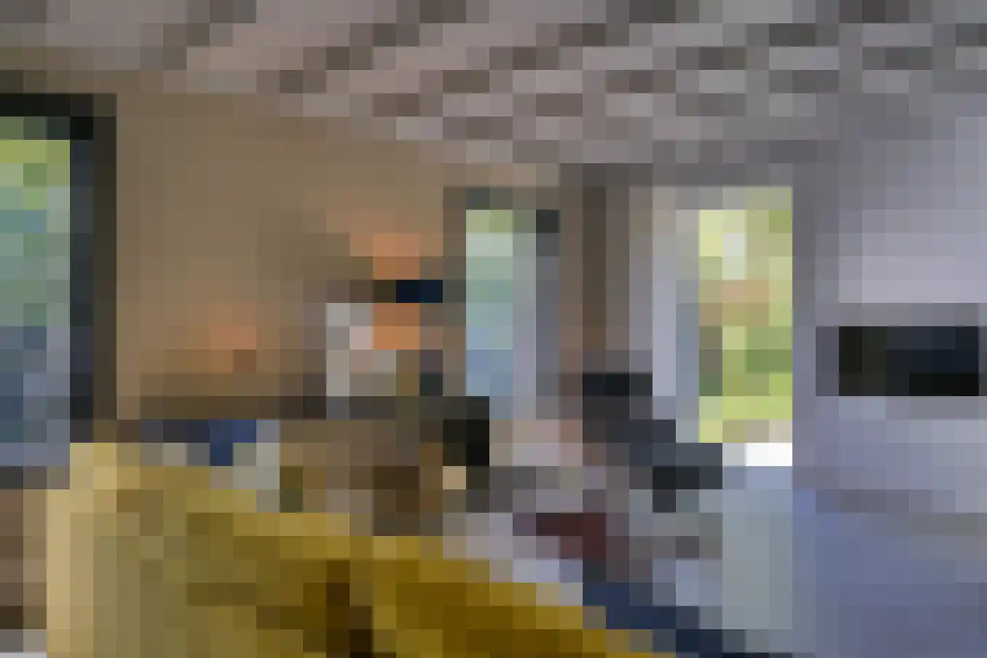 Waaldijk 46 Dreumel thumbnail 5