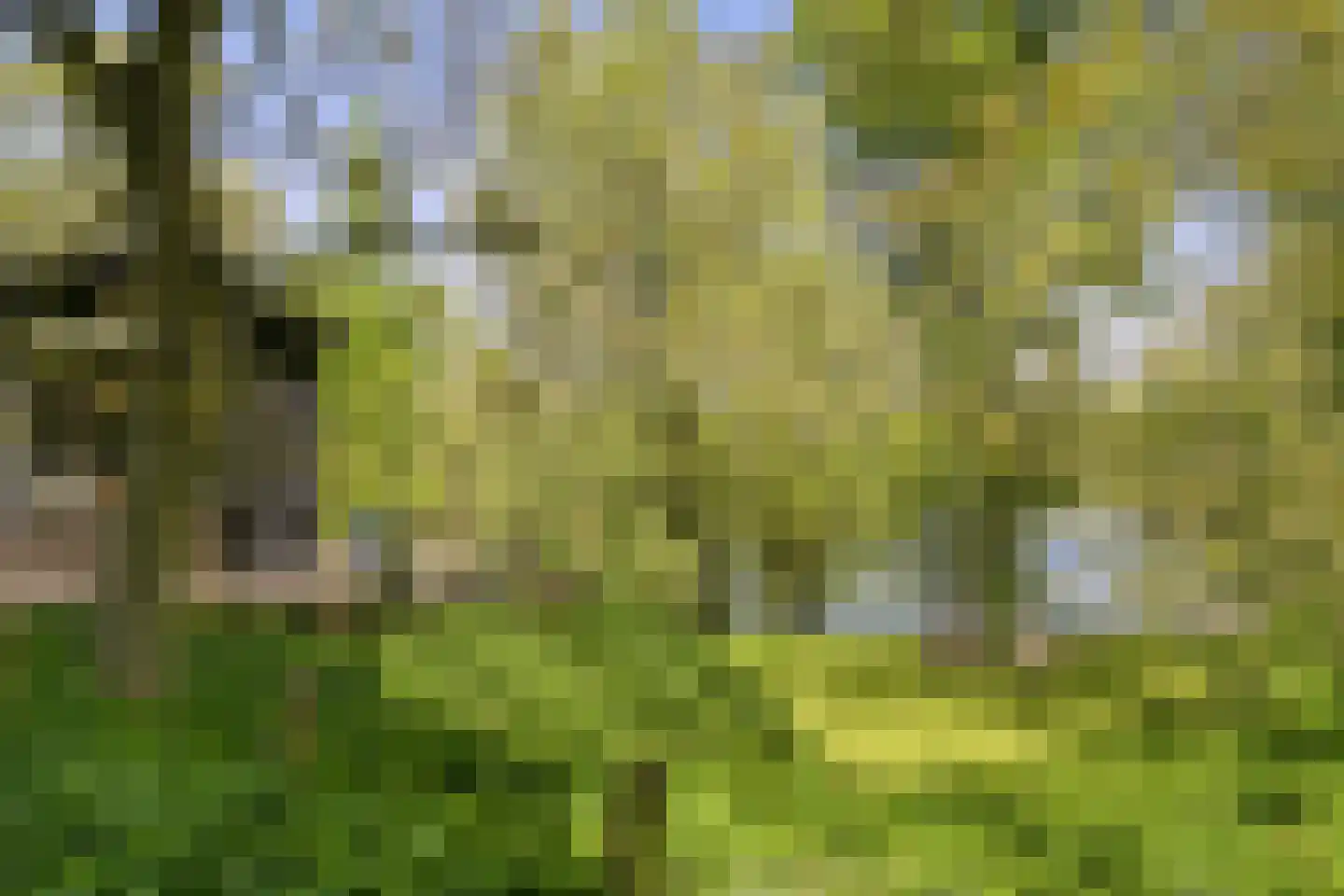 Waaldijk 46 Dreumel thumbnail 50