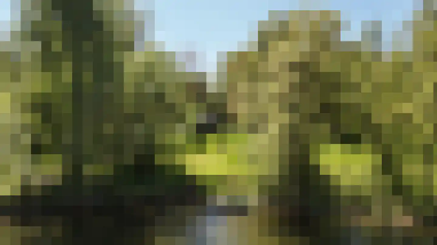 Waaldijk 46 Dreumel thumbnail 51