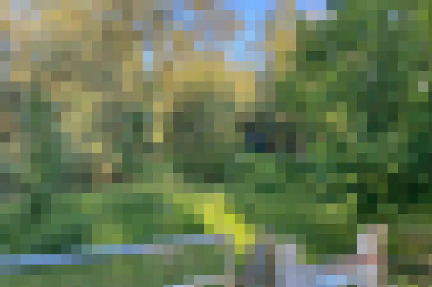Waaldijk 46 Dreumel thumbnail 52