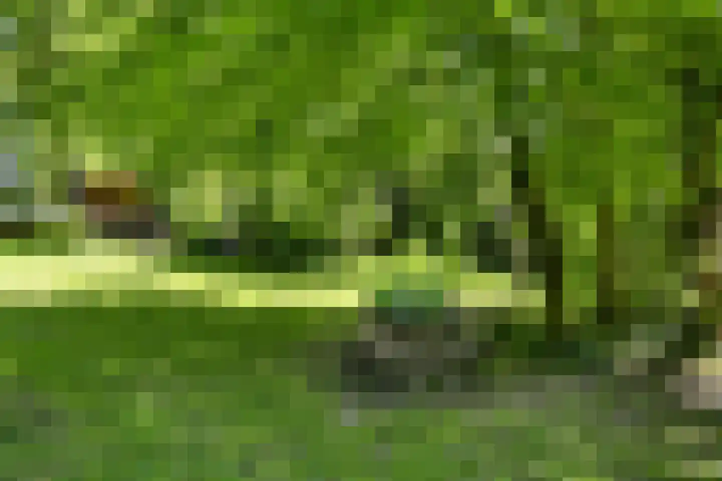 Waaldijk 46 Dreumel thumbnail 53