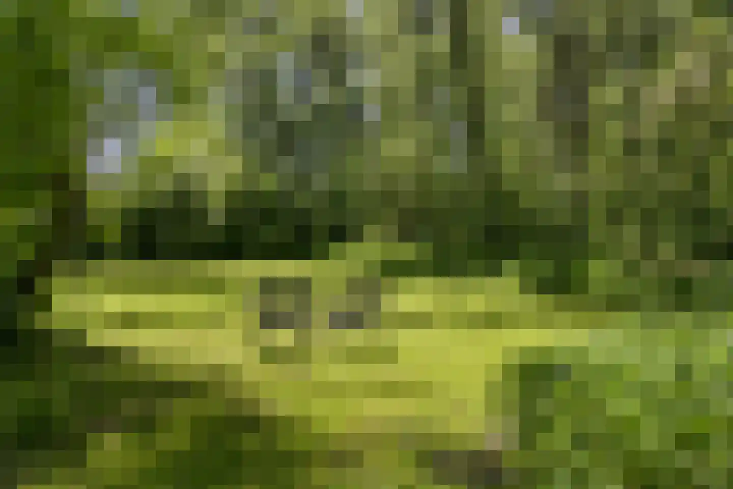 Waaldijk 46 Dreumel thumbnail 55