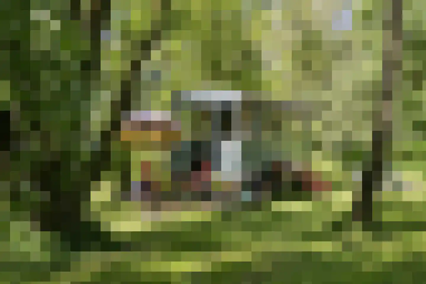 Waaldijk 46 Dreumel thumbnail 57