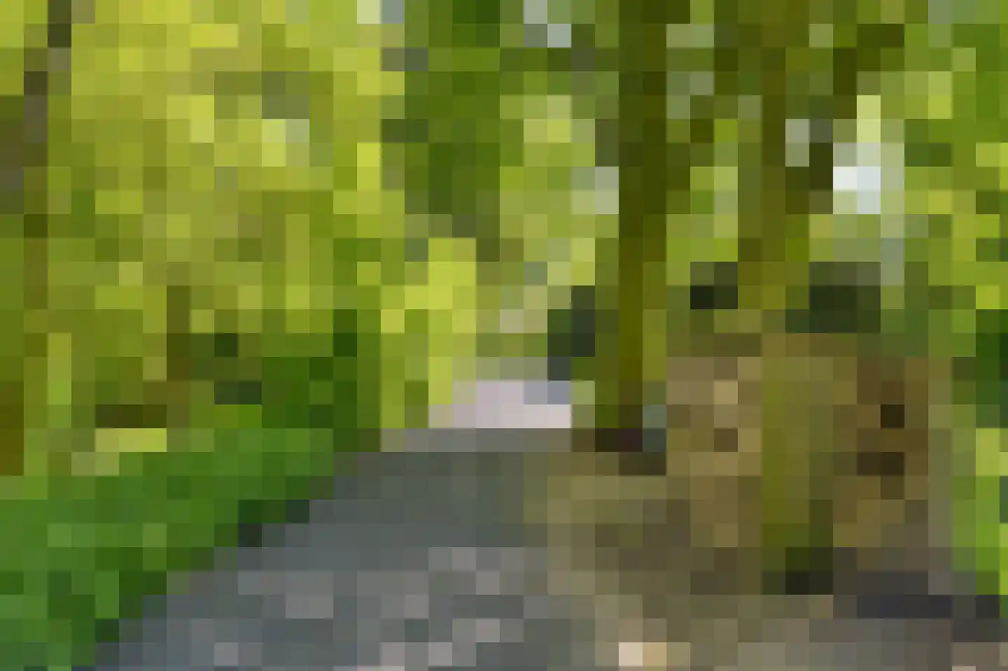 Waaldijk 46 Dreumel thumbnail 59