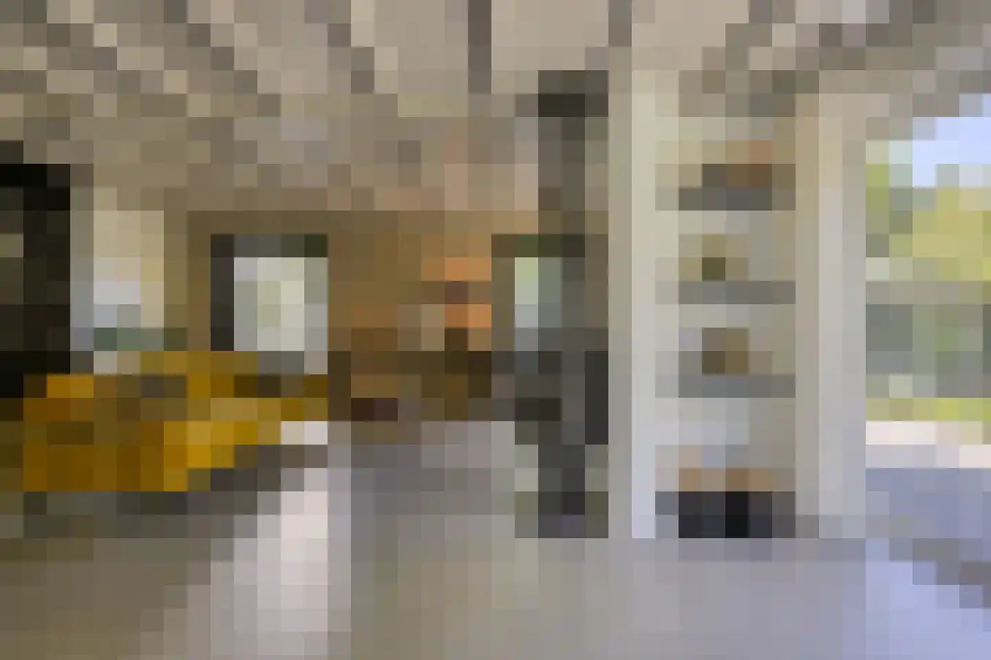 Waaldijk 46 Dreumel thumbnail 6